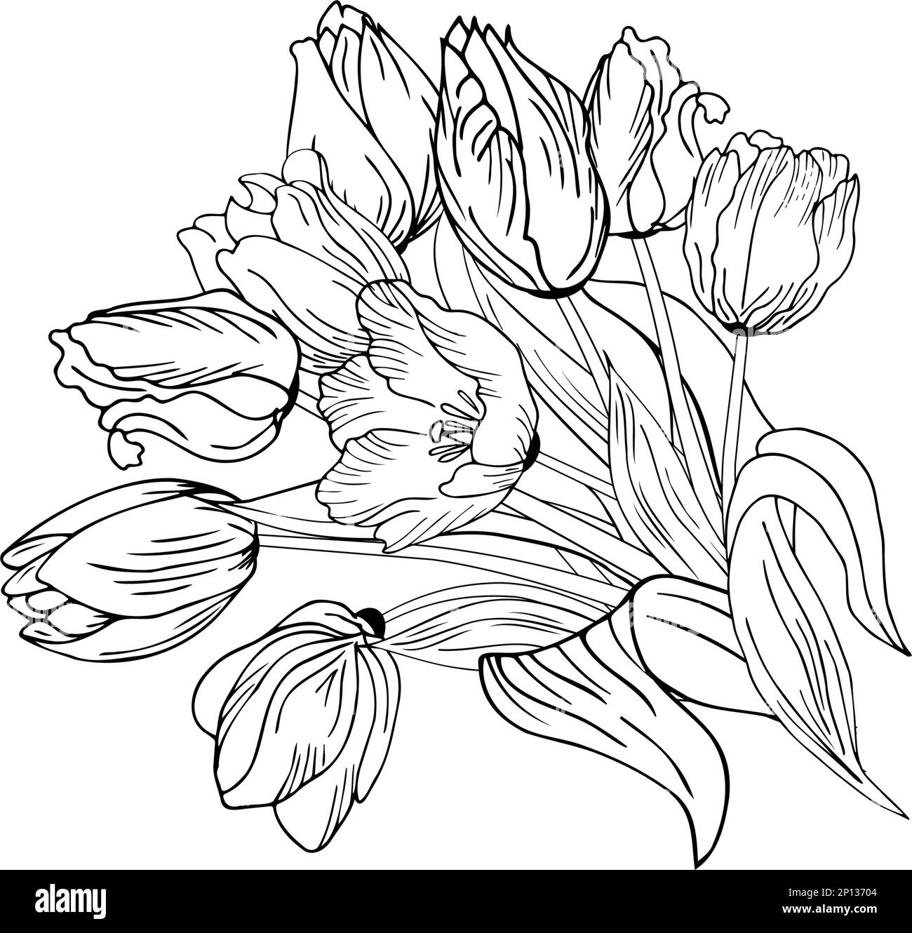 Fond floral avec tulipes. Dessin à la main Illustration de Vecteur