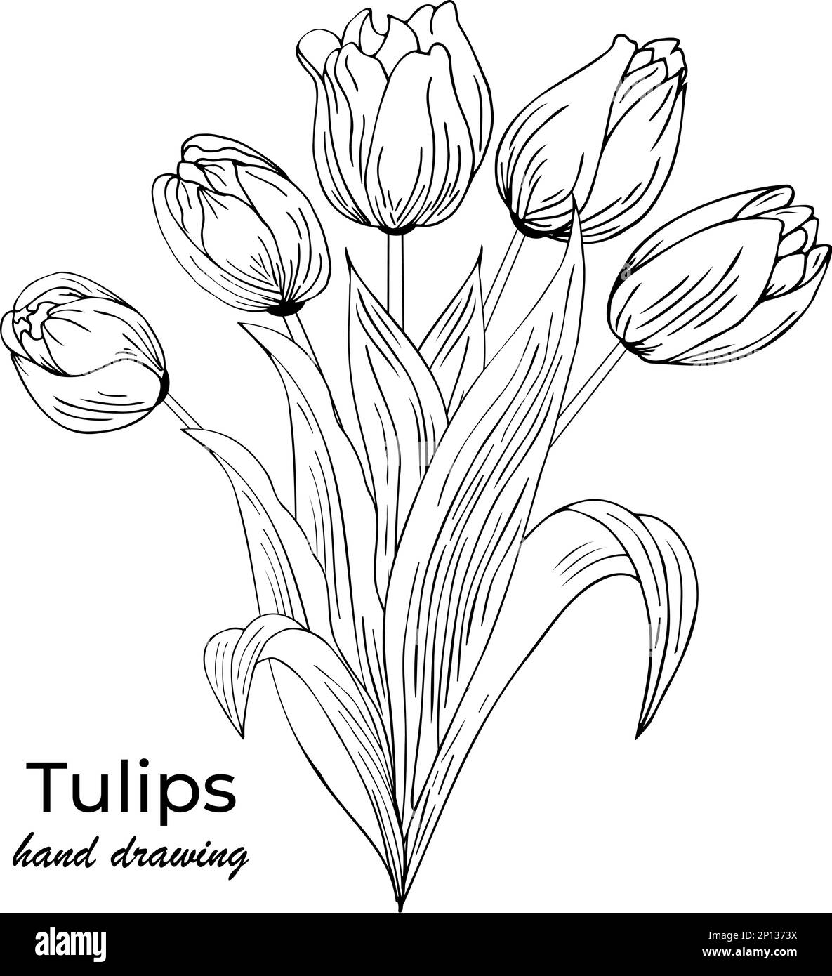 Fond floral avec tulipes. Dessin à la main Illustration de Vecteur