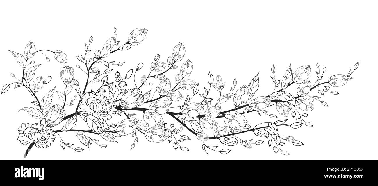 Une belle branche en fleurs, richement décorée avec des fleurs, des bourgeons et des feuilles. Dessin à la main. Banque D'Images