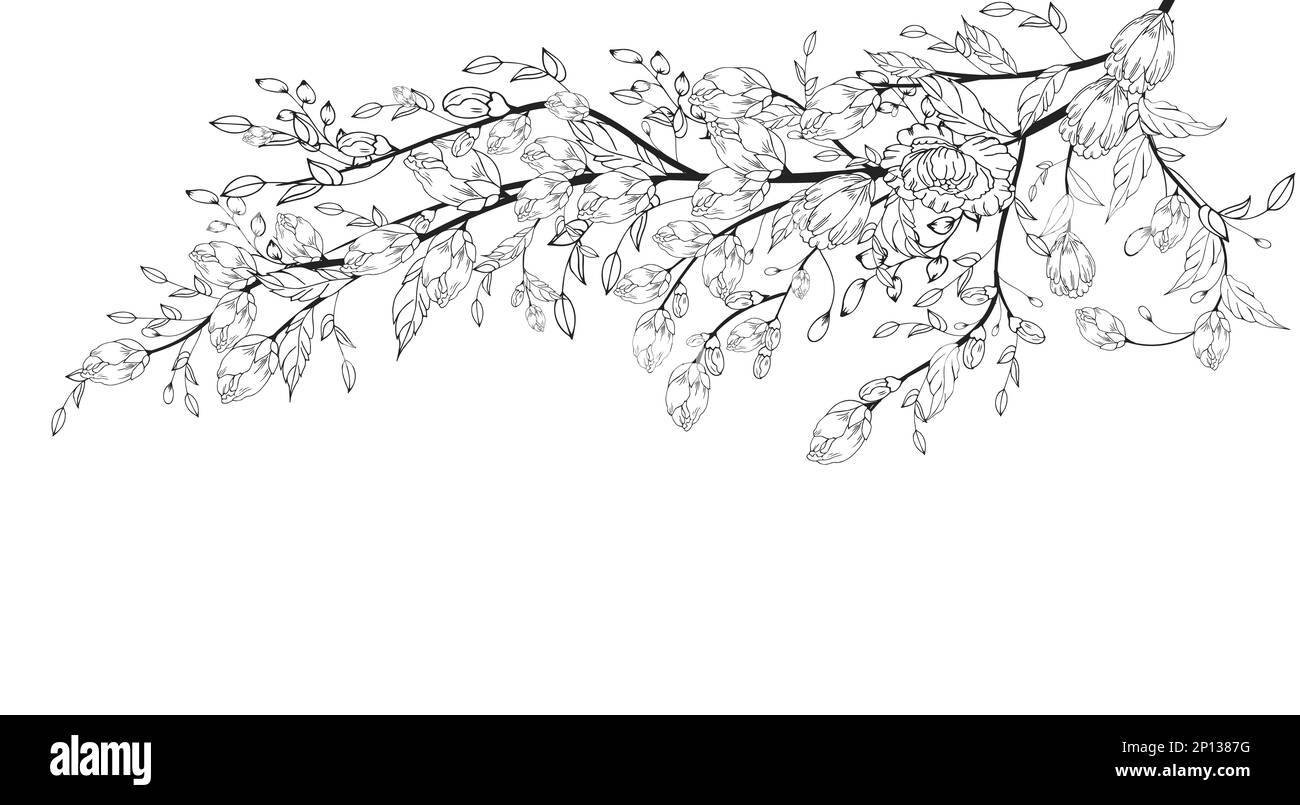 Une belle branche en fleurs, richement décorée avec des fleurs, des bourgeons et des feuilles. Dessin à la main. Banque D'Images