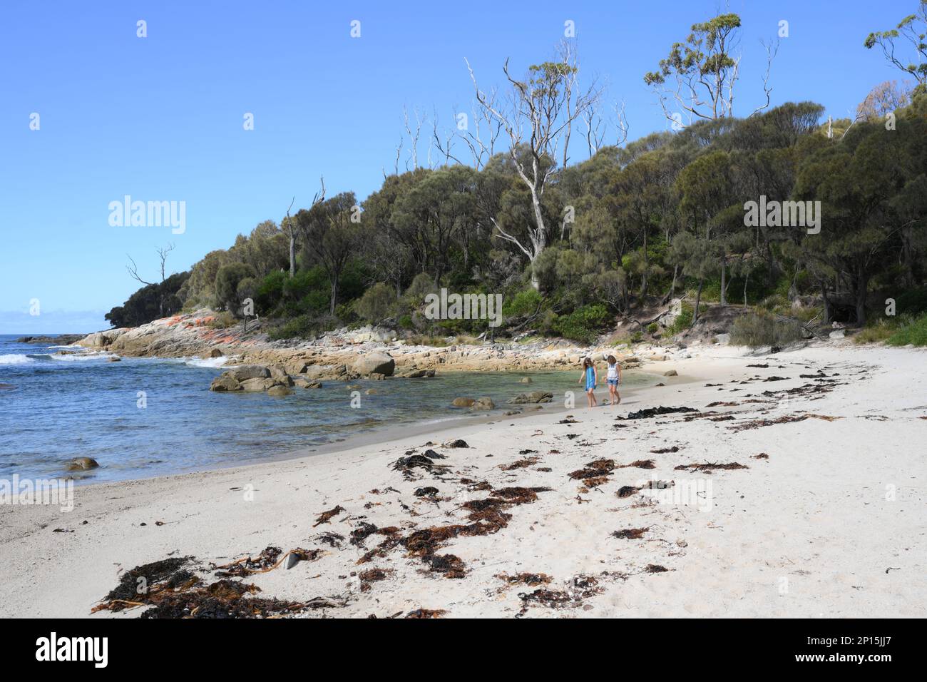 Littoral immaculé et plages près de Skeleton Bay, Binalong Tasmanie Banque D'Images