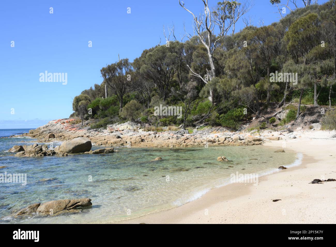 Littoral immaculé et plages près de Skeleton Bay, Binalong Tasmanie Banque D'Images