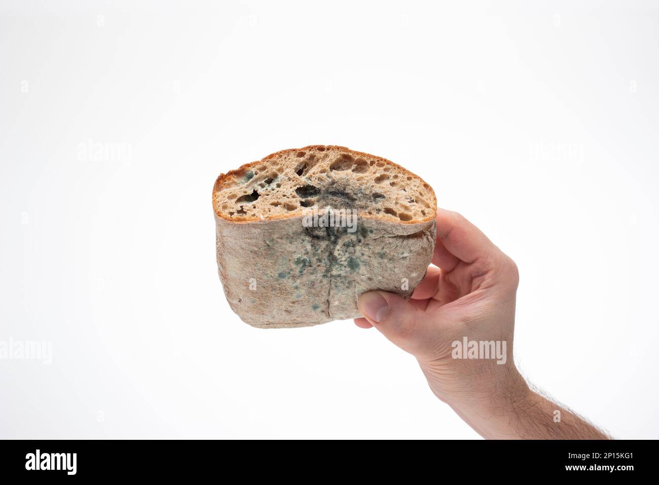 Vieux pain de moisi gâté, tenu en main par la main mâle caucasienne. Gros plan en studio, isolé sur fond blanc. Banque D'Images