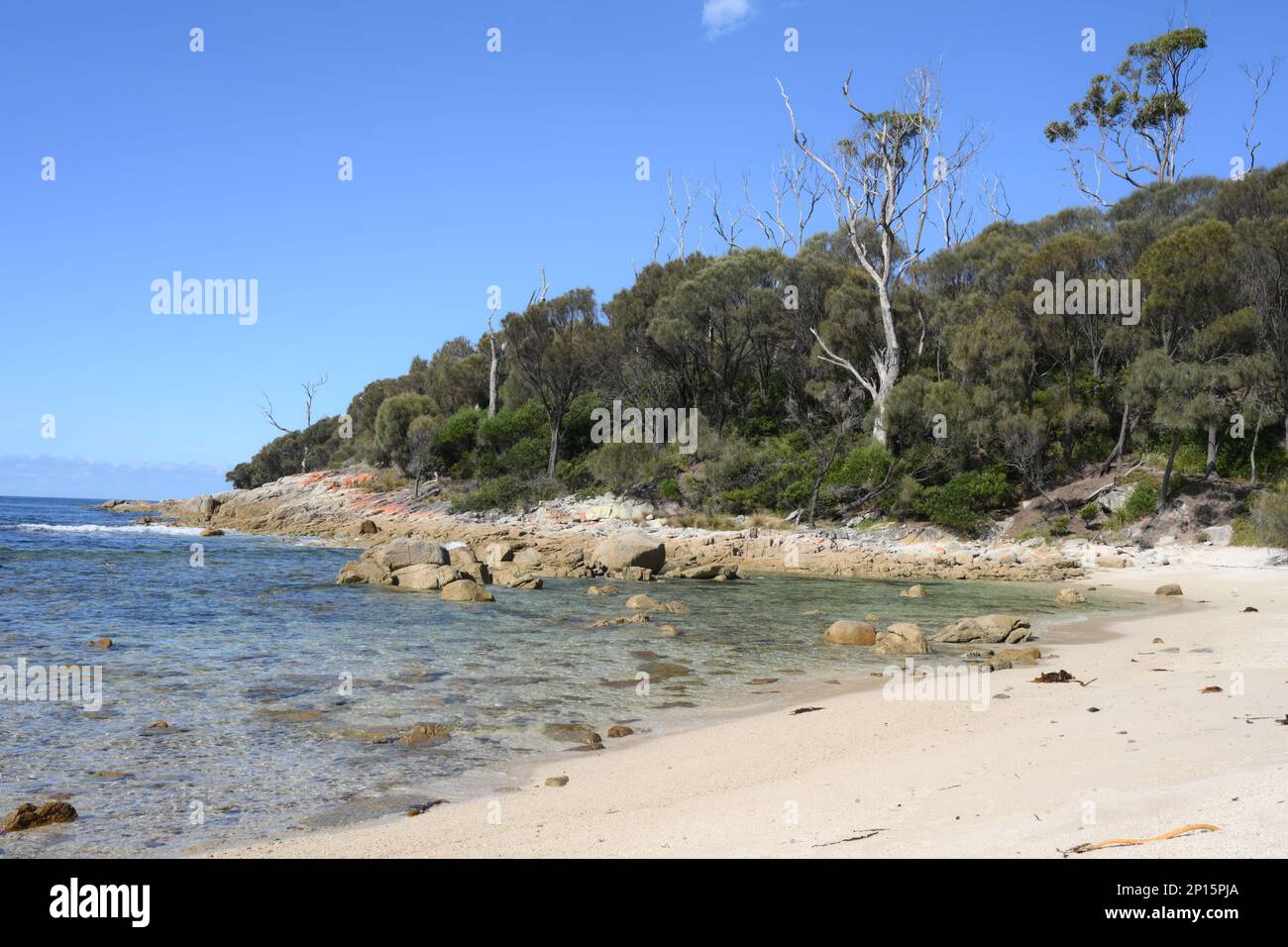 Littoral immaculé et plages près de Skeleton Bay, Binalong Tasmanie Banque D'Images