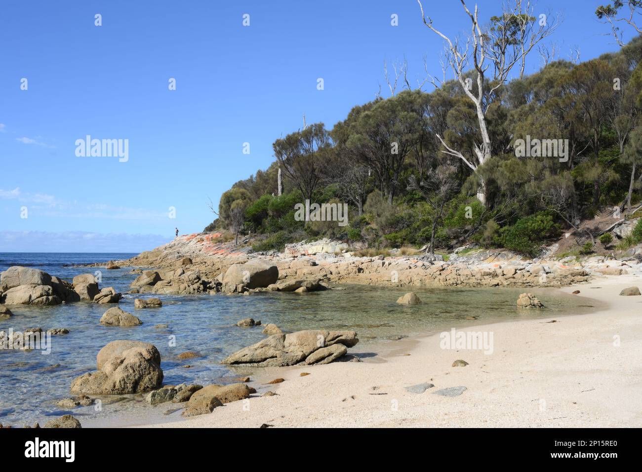 Le littoral immaculé et les promontoires boisés mènent à des plages comme Skeleton Bay , Binalong, Tasmanie Banque D'Images