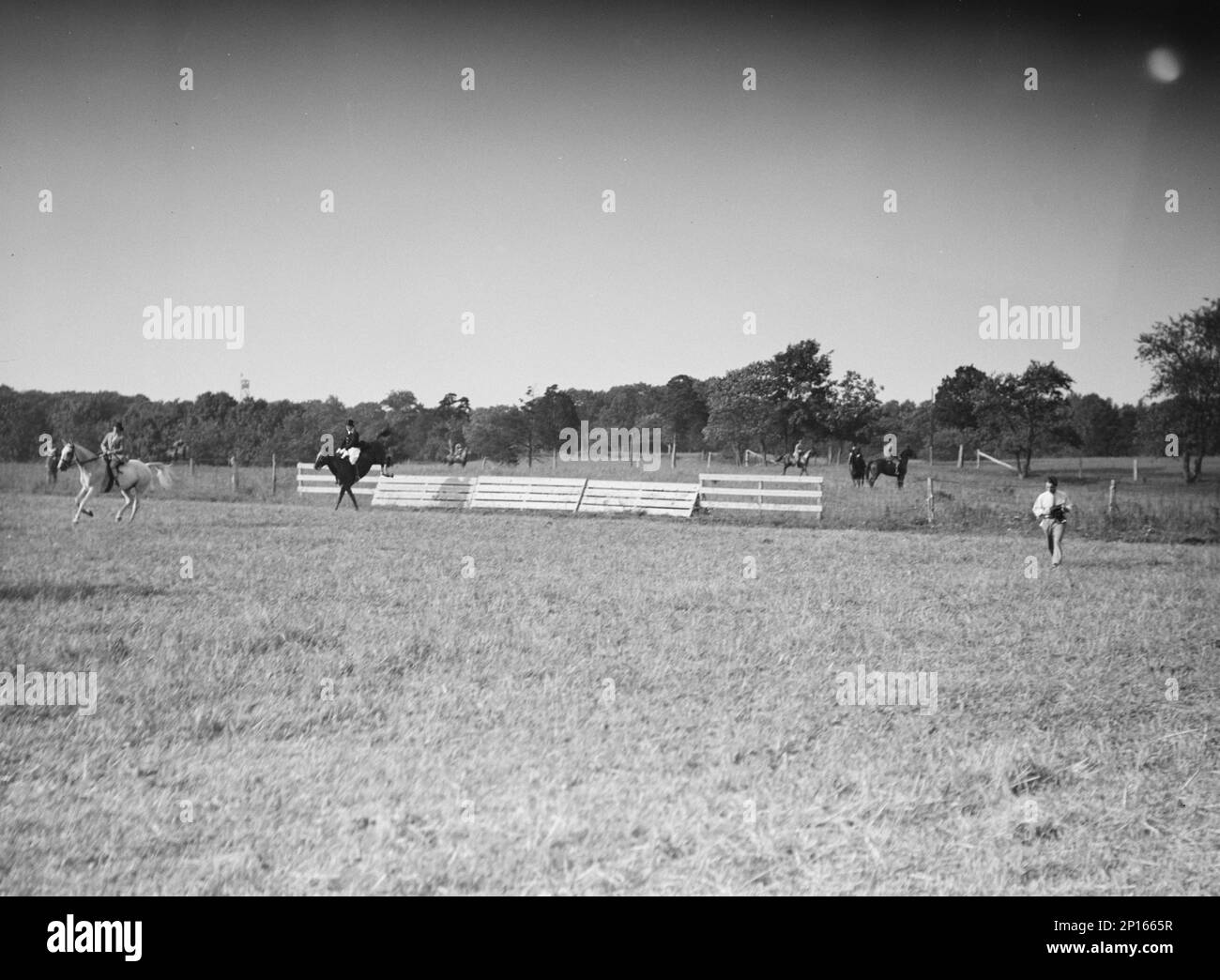 Spectacle équestre, East Hampton, long Island., entre 1933 et 1942. Banque D'Images