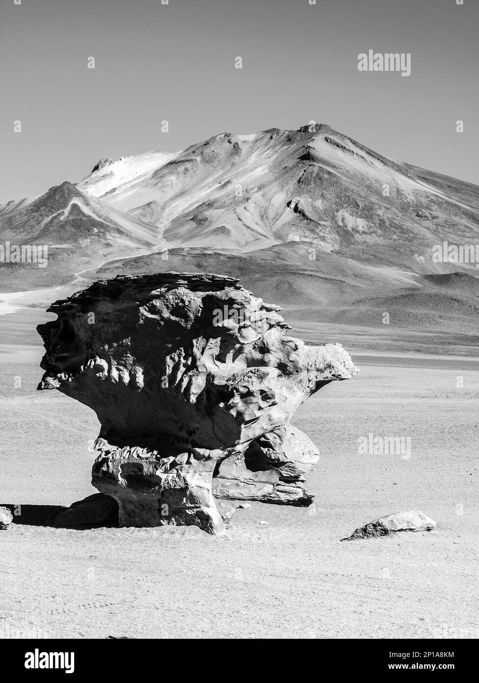 Formation de roche d'arbre de pierre dans le paysage désertique d'Altiplano avec ciel bleu, Bolivie, image noir et blanc Banque D'Images