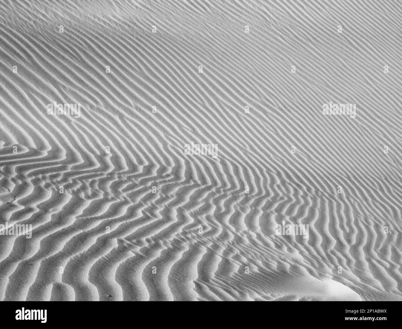 Texture dune du désert de sable faite par le vent. Image en noir et blanc. Banque D'Images