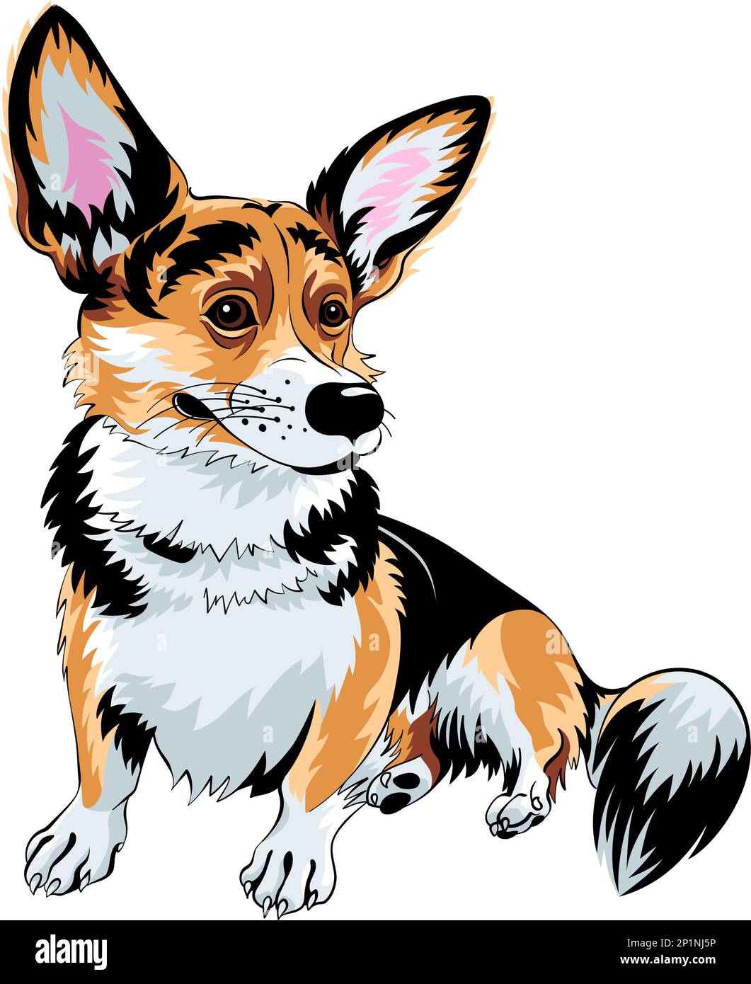 Croquis en couleur du chien Pembroke gallois corgi race assis et souriant Illustration de Vecteur