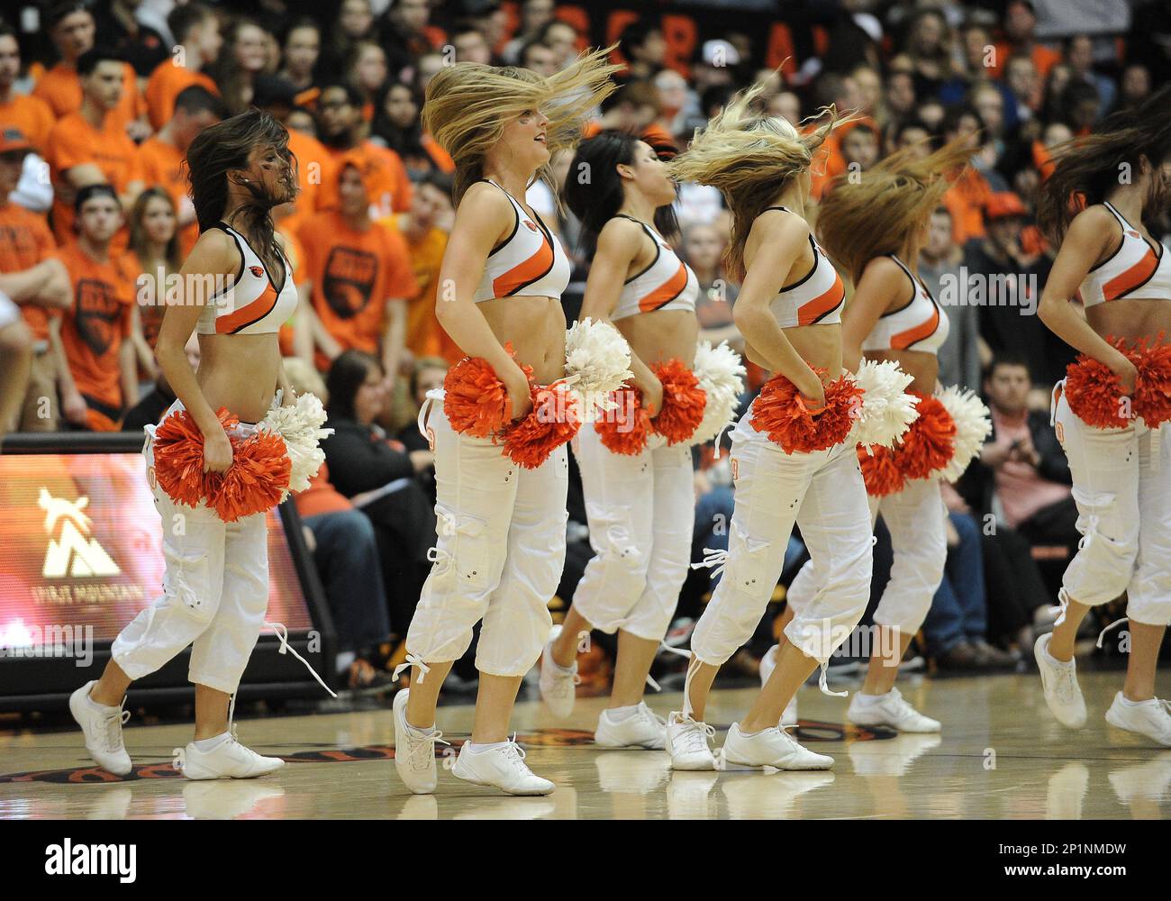 24 February 2016: The Oregon State dance team performs during a PAC-12 NCAA basketball game between the University of Washington Huskies and Oregon State University Beavers at Gill Coliseum in Corvallis, Oregon. Oregon State won the game 82-81. (Photo by Brian Murphy/Icon Sportswire) (Icon Sportswire via AP Images) Banque D'Images