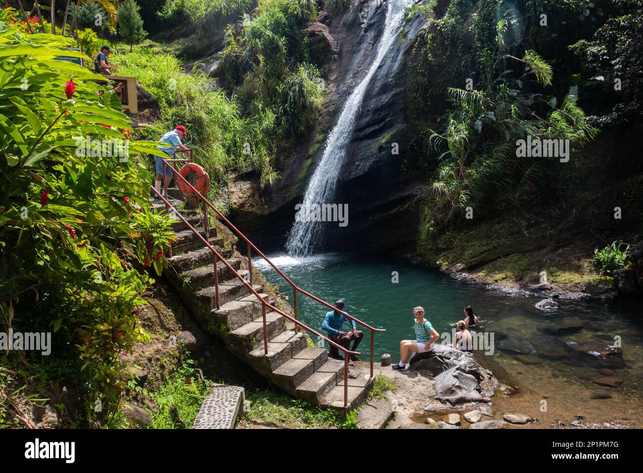 Chutes de Concord, Grenade - 3 mars 2023 : les touristes nagent dans l'eau courante des chutes de Concord, une chute d'eau locale sur l'île du sud des Caraïbes. Banque D'Images