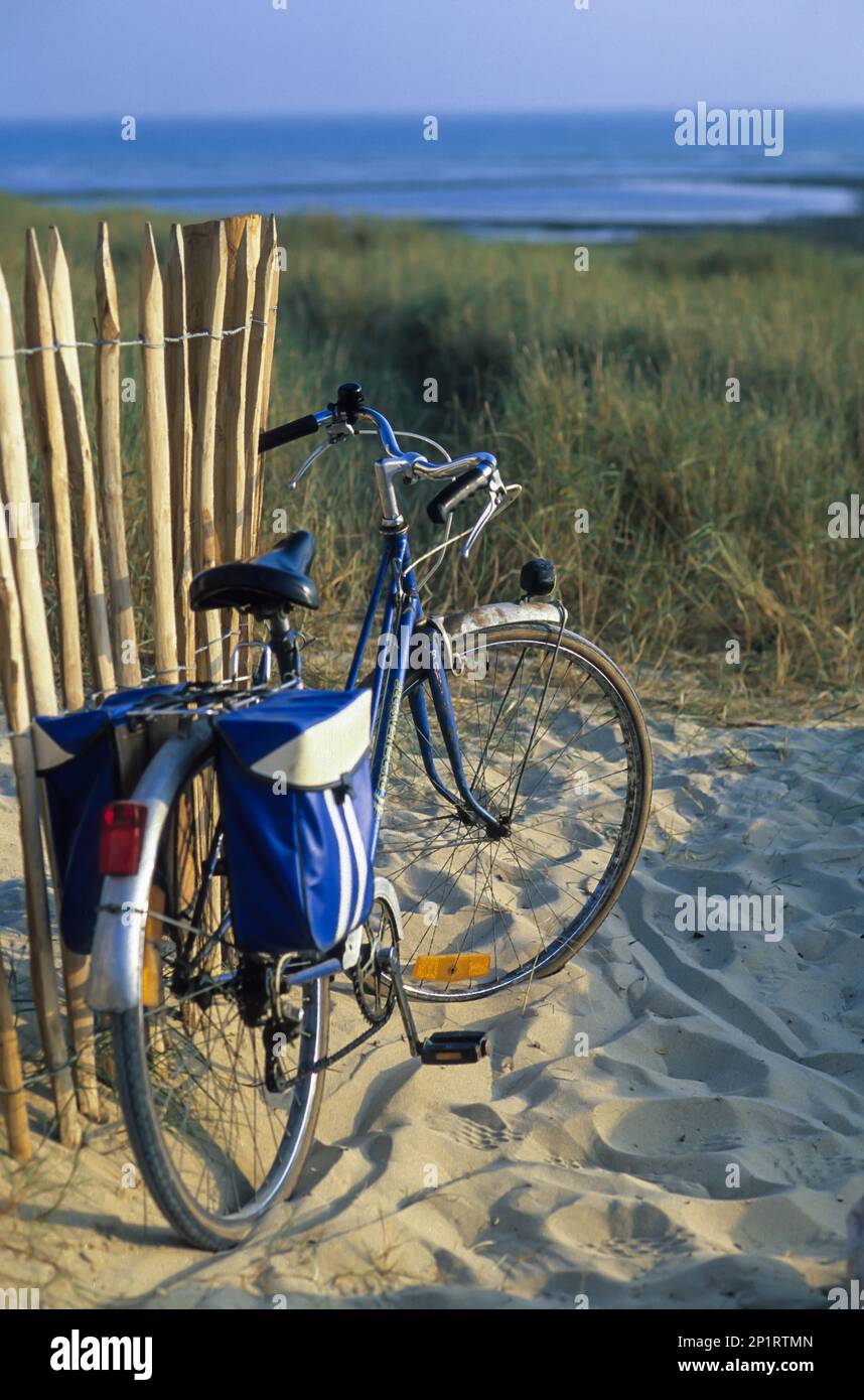 France. Charente Maritime (17) Ile de Re, village de Sainte Marie de Re, aller à la plage en vélo Banque D'Images