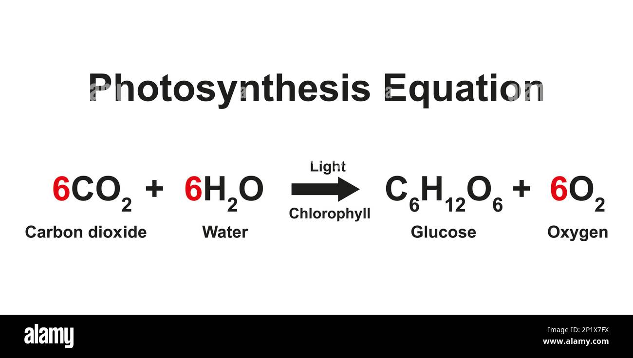 Équation de photosynthèse, illustration. Banque D'Images