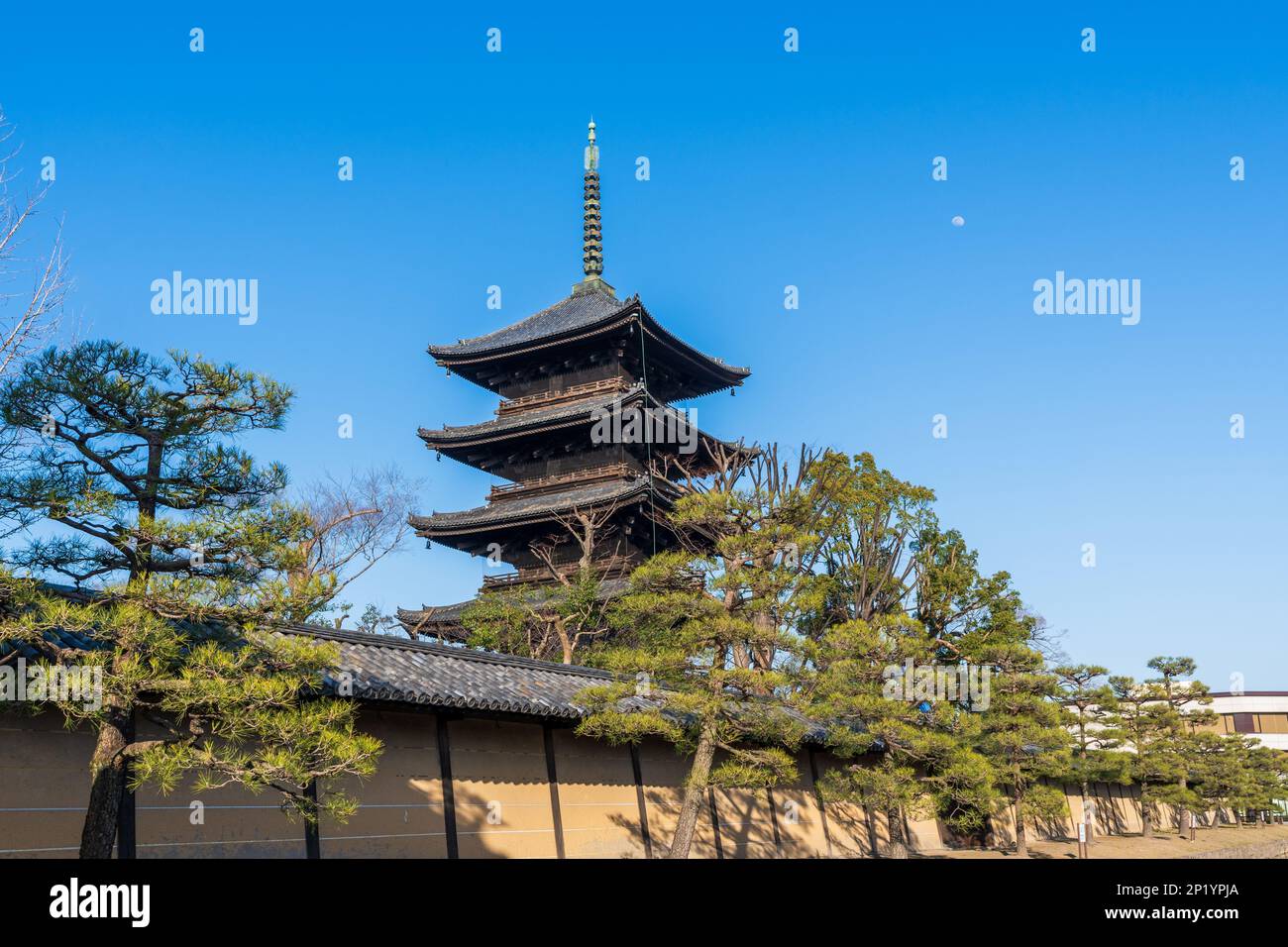 Kyoto, Japon - 03 mars 2023 : Pagode à cinq étages du Temple to-ji. Site du patrimoine mondial. Banque D'Images