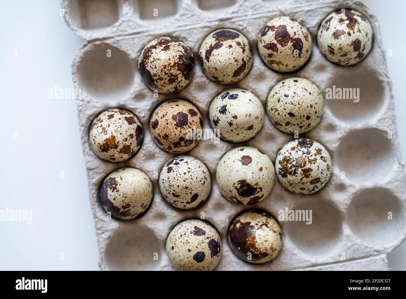 Œufs de caille tachetée dans une boîte à œufs sur fond clair, produits naturels écologiques. Banque D'Images