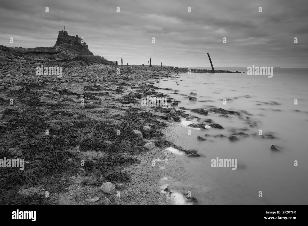 Image en noir et blanc du château de Lidisfarne. Holy Island, Northumberland, Angleterre, Royaume-Uni. Banque D'Images