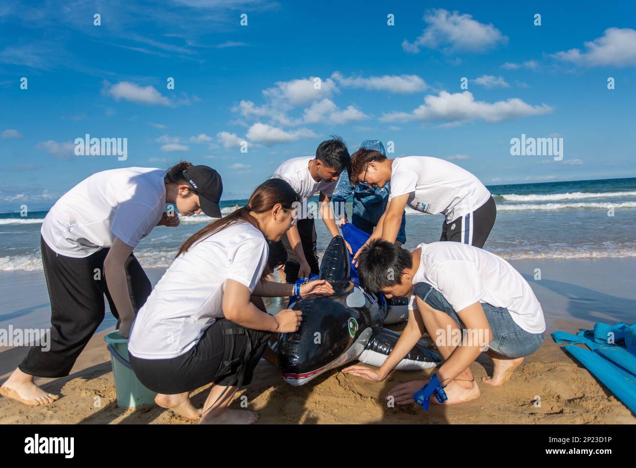 Haikou. 4th mars 2023. Un exercice sur le sauvetage des animaux échoués, organisé par la BlueRibbon Ocean conservation Association (BROCA), a lieu à Sanya, dans la province de Hainan, au sud de la Chine, sur 22 mai 2021. POUR ALLER AVEC 'Feature: Gardien des espèces marines dans le Hainan de Chine' crédit: Xinhua/Alay Live News Banque D'Images