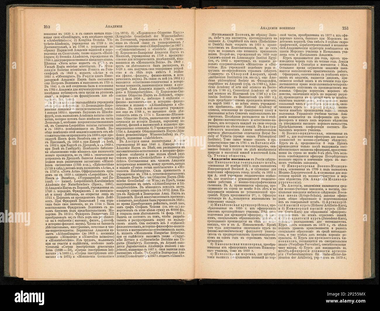 The Brockhaus and Efron Encyclopedic Dictionary, 1890 Banque D'Images