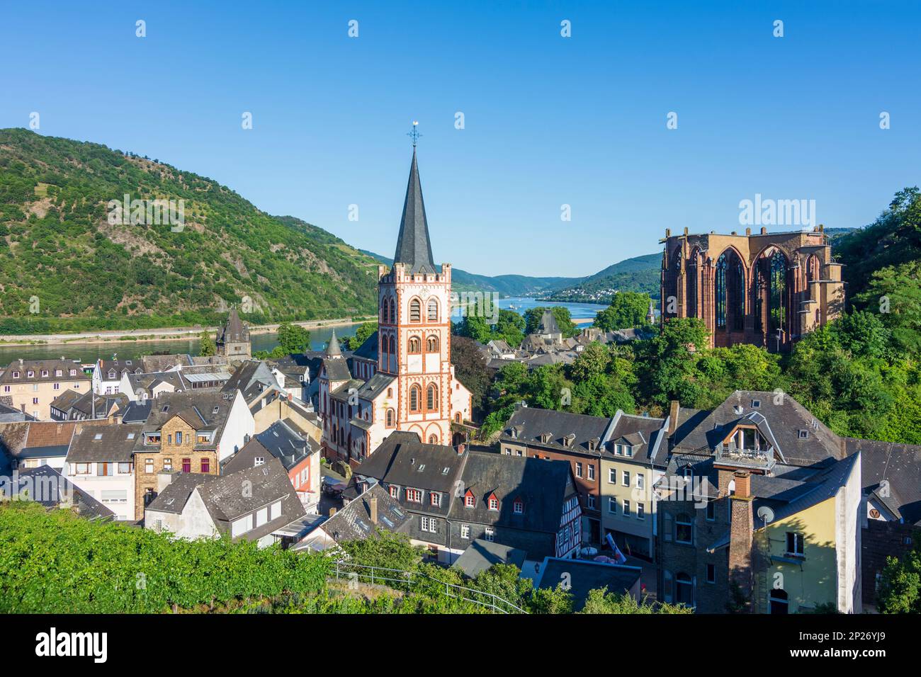 Bacharach: Vue sur la vieille ville de Bacharach avec église St. Pierre, ruine Wernerkapelle, Rhin, vignoble de Rheintal, Rheinland-Pfalz, Rhénanie Banque D'Images Bacharach: Vue sur la vieille ville de Bacharach avec église St. Pierre, ruine Wernerkapelle, Rhin, vignoble de Rheintal, Rheinland-Pfalz, Rhénanie Banque D'Images