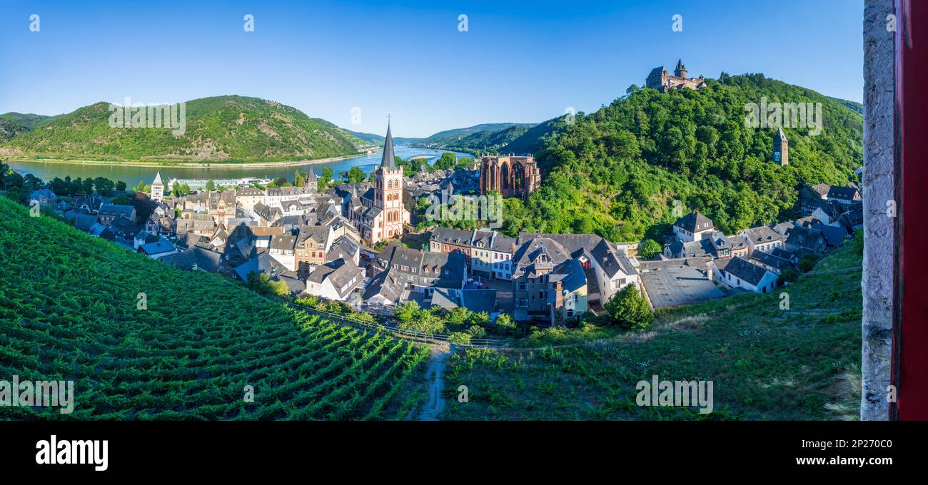 Bacharach: Vue sur la vieille ville de Bacharach avec église St. Pierre, Ruin Wernerkapelle, Château de Stahleck, Rhin, vignoble, Vue depuis la tour poste Banque D'Images Bacharach: Vue sur la vieille ville de Bacharach avec église St. Pierre, Ruin Wernerkapelle, Château de Stahleck, Rhin, vignoble, Vue depuis la tour poste Banque D'Images