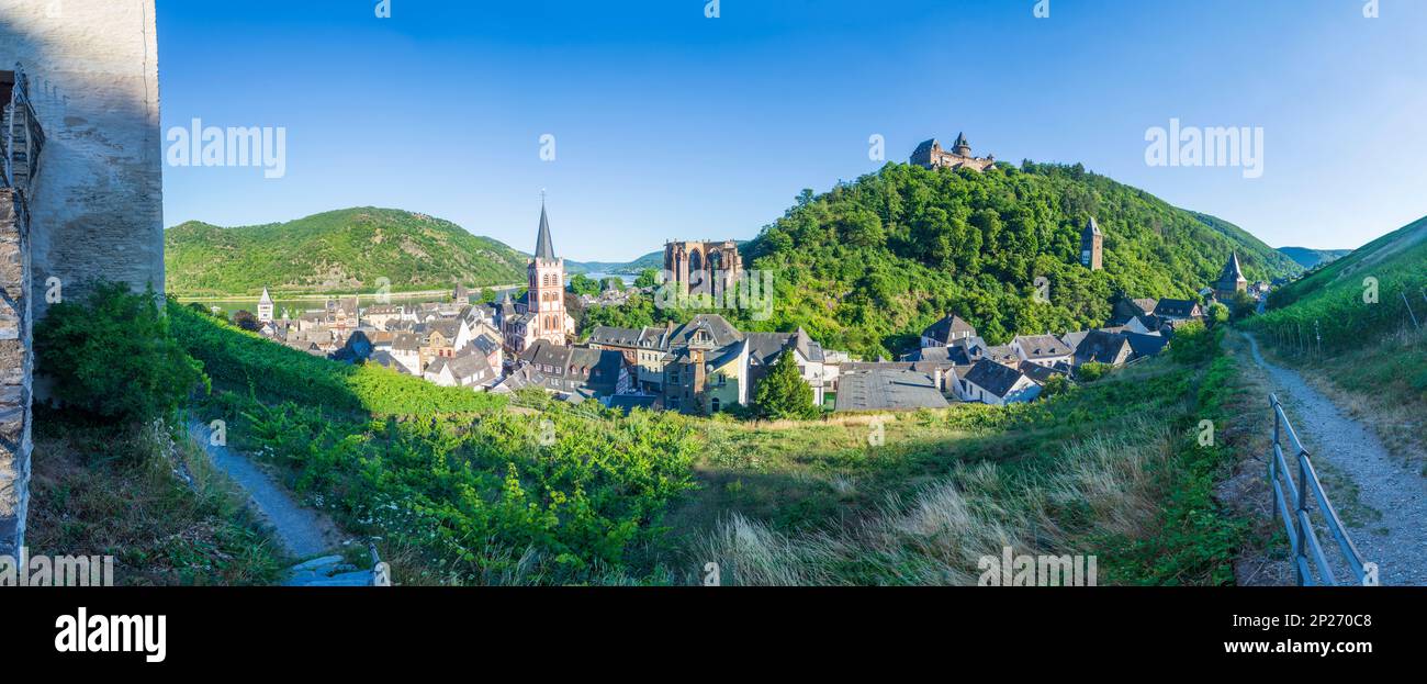 Bacharach: Vue sur la vieille ville de Bacharach avec église St. Pierre, Ruin Wernerkapelle, Château de Stahleck, Rhin, vignoble, Vue depuis la tour poste Banque D'Images Bacharach: Vue sur la vieille ville de Bacharach avec église St. Pierre, Ruin Wernerkapelle, Château de Stahleck, Rhin, vignoble, Vue depuis la tour poste Banque D'Images