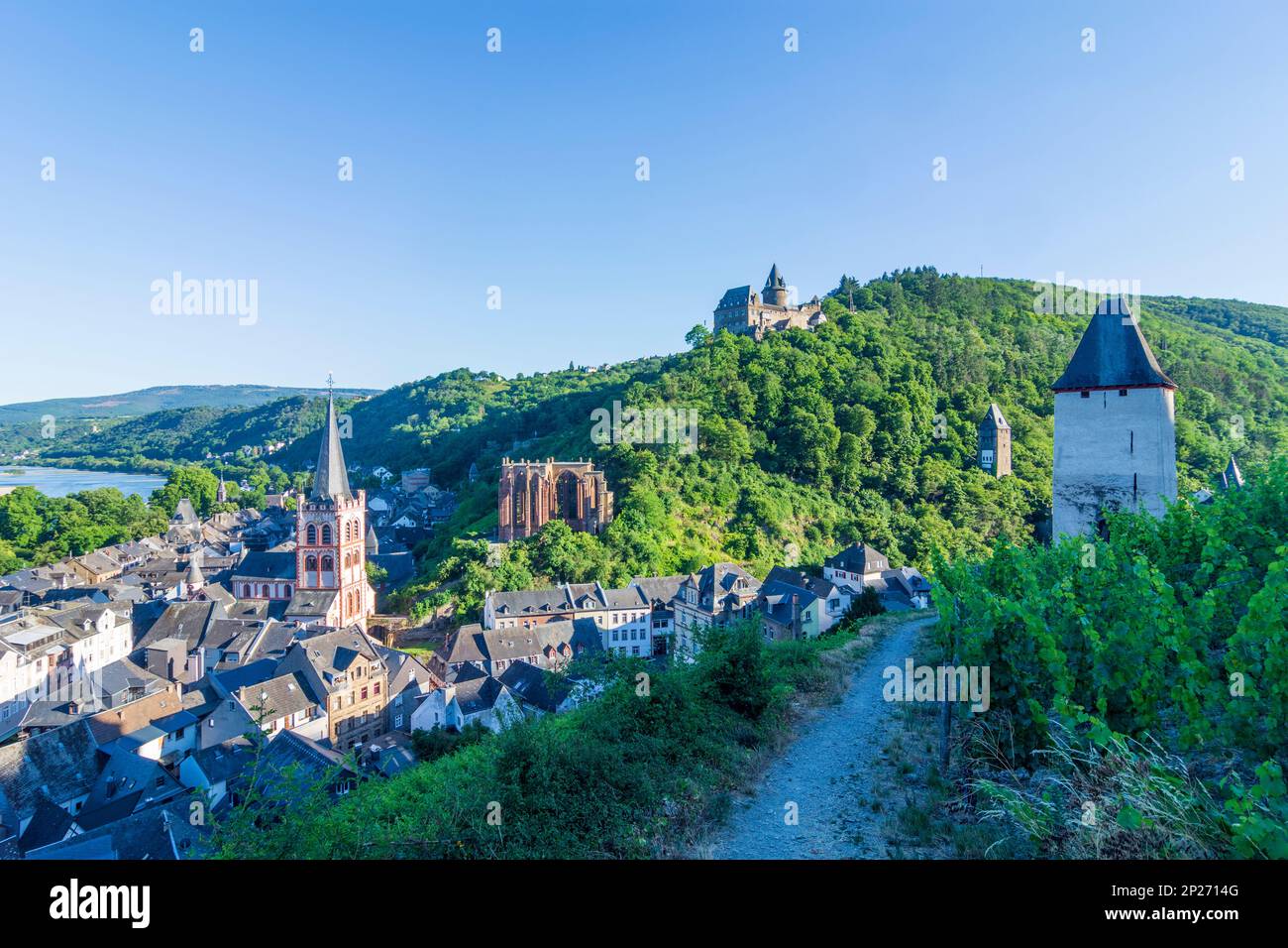 Bacharach: Vue sur la vieille ville de Bacharach avec église St. Pierre, Ruin Wernerkapelle, Château de Stahleck, Rhin, vignoble, tour Postenturm en R Banque D'Images Bacharach: Vue sur la vieille ville de Bacharach avec église St. Pierre, Ruin Wernerkapelle, Château de Stahleck, Rhin, vignoble, tour Postenturm en R Banque D'Images