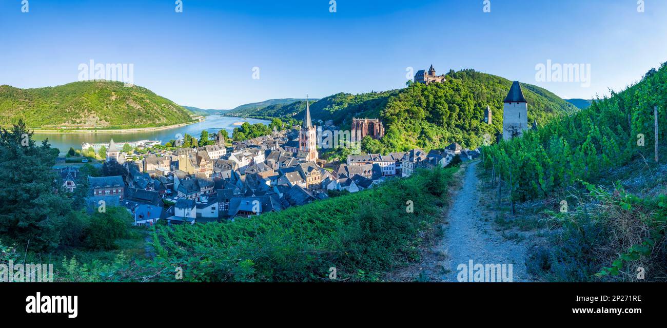 Bacharach: Vue sur la vieille ville de Bacharach avec église St. Pierre, Ruin Wernerkapelle, Château de Stahleck, Rhin, vignoble, tour Postenturm en R Banque D'Images Bacharach: Vue sur la vieille ville de Bacharach avec église St. Pierre, Ruin Wernerkapelle, Château de Stahleck, Rhin, vignoble, tour Postenturm en R Banque D'Images