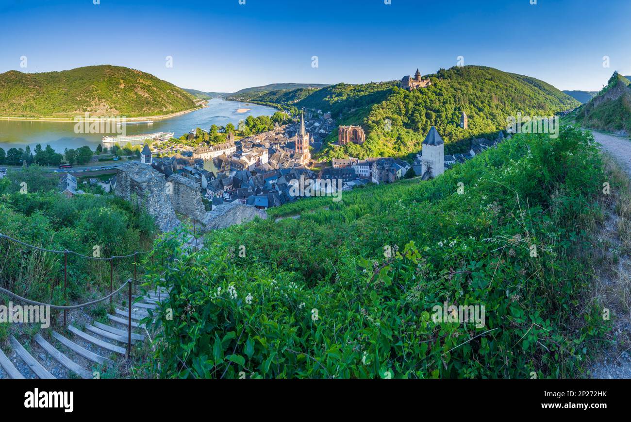Bacharach: Vue sur la vieille ville de Bacharach avec église St. Pierre, ruine Wernerkapelle, Rhin, vignoble, tour de Postenturm à Rheintal, Rheinlan Banque D'Images Bacharach: Vue sur la vieille ville de Bacharach avec église St. Pierre, ruine Wernerkapelle, Rhin, vignoble, tour de Postenturm à Rheintal, Rheinlan Banque D'Images