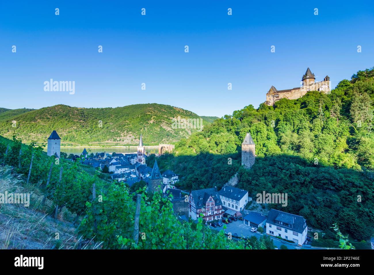 Bacharach: Vue sur la vieille ville de Bacharach avec église St. Pierre, ruine Wernerkapelle, Rhin, vignoble, tour de Postenturm à Rheintal, Rheinlan Banque D'Images Bacharach: Vue sur la vieille ville de Bacharach avec église St. Pierre, ruine Wernerkapelle, Rhin, vignoble, tour de Postenturm à Rheintal, Rheinlan Banque D'Images