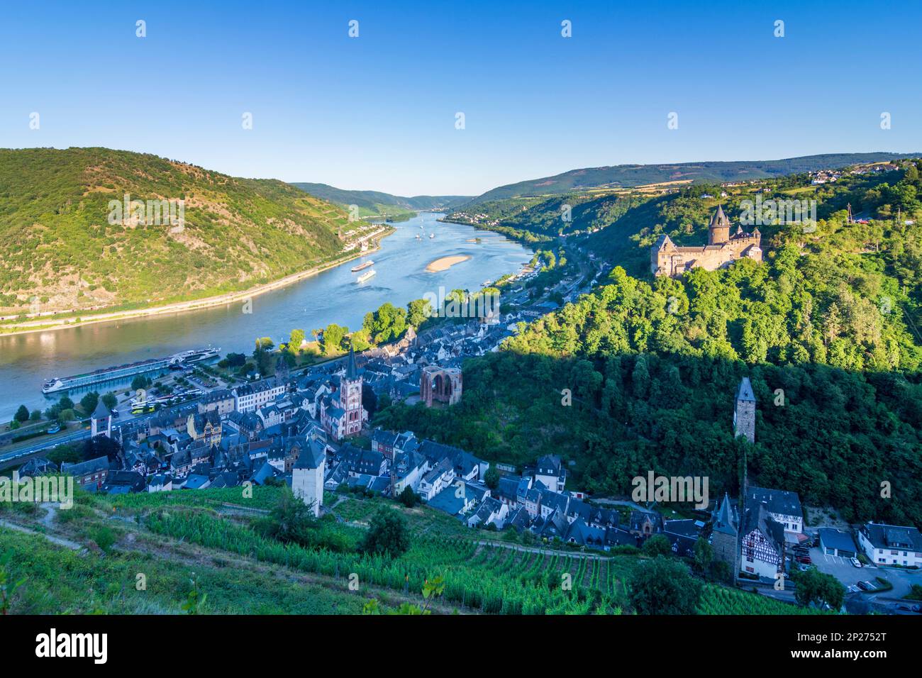 Bacharach: Vue sur la vieille ville de Bacharach avec église St. Pierre, ruine Wernerkapelle, Rhin, vignoble, tour de Postenturm à Rheintal, Rheinlan Banque D'Images Bacharach: Vue sur la vieille ville de Bacharach avec église St. Pierre, ruine Wernerkapelle, Rhin, vignoble, tour de Postenturm à Rheintal, Rheinlan Banque D'Images