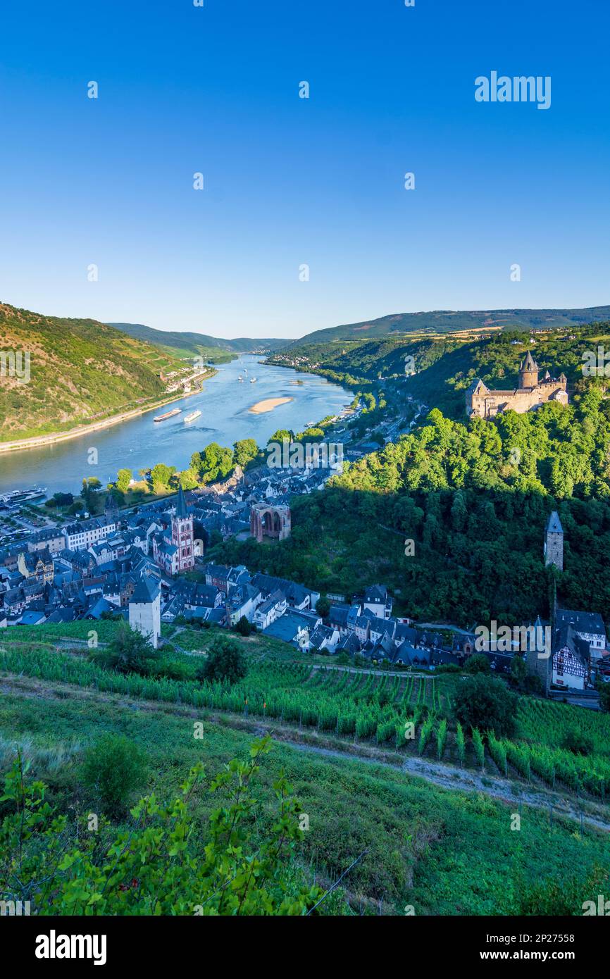 Bacharach: Vue sur la vieille ville de Bacharach avec église St. Pierre, Ruin Wernerkapelle, Château de Stahleck, Rhin, vignoble, tour Postenturm en R Banque D'Images Bacharach: Vue sur la vieille ville de Bacharach avec église St. Pierre, Ruin Wernerkapelle, Château de Stahleck, Rhin, vignoble, tour Postenturm en R Banque D'Images