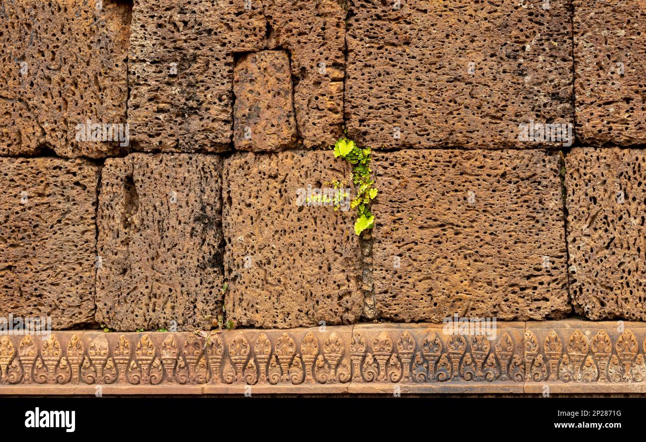 Sculptures élaborées et bas reliefs en grès sur un mur au temple Bantaey Srey du 10th siècle à Angkor près de Siem Reap au Cambodge. Banque D'Images