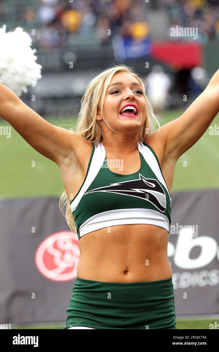 October 17, 2015: A Portland State Vikings cheerleader entertains the fans during the NCAA football game between the Vikings and the Montana State Bobcats at Providence Park, Portland, OR. Larry C. Lawson/CSM (Cal Sport Media via AP Images) Banque D'Images