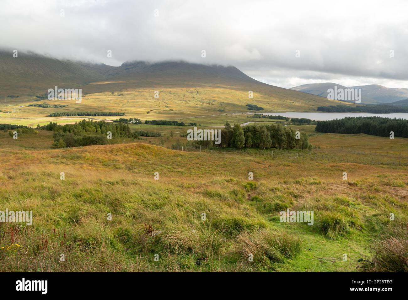 Paysage vert en automne dans les Highlands écossais - fort William Banque D'Images