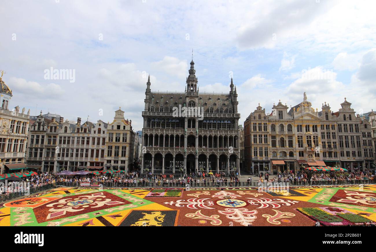 Bruxelles, Belgique - 8.15.2022 : Flower Carpet 2022 à Grand-place Banque D'Images
