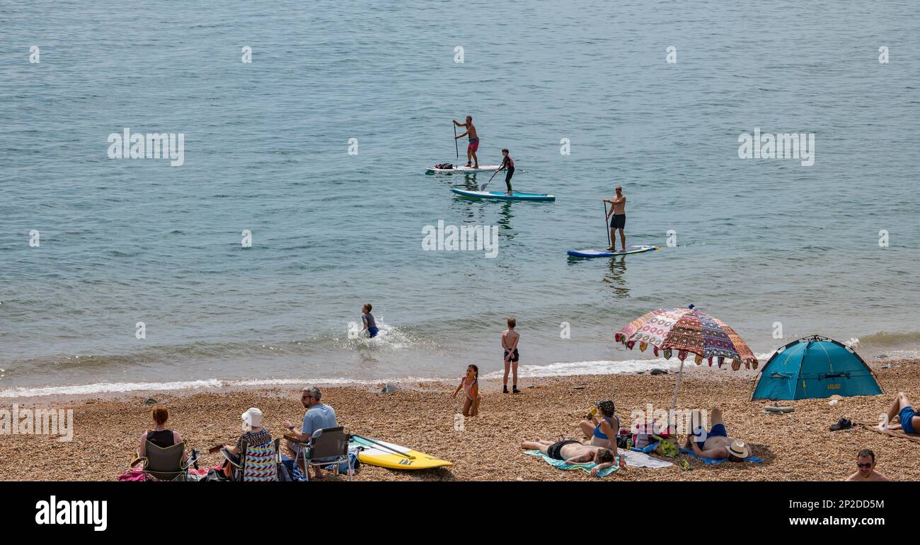 Personnes paddle-board sur la plage de Seatown en été sur la côte jurassique, Dorset, Angleterre, Royaume-Uni Banque D'Images