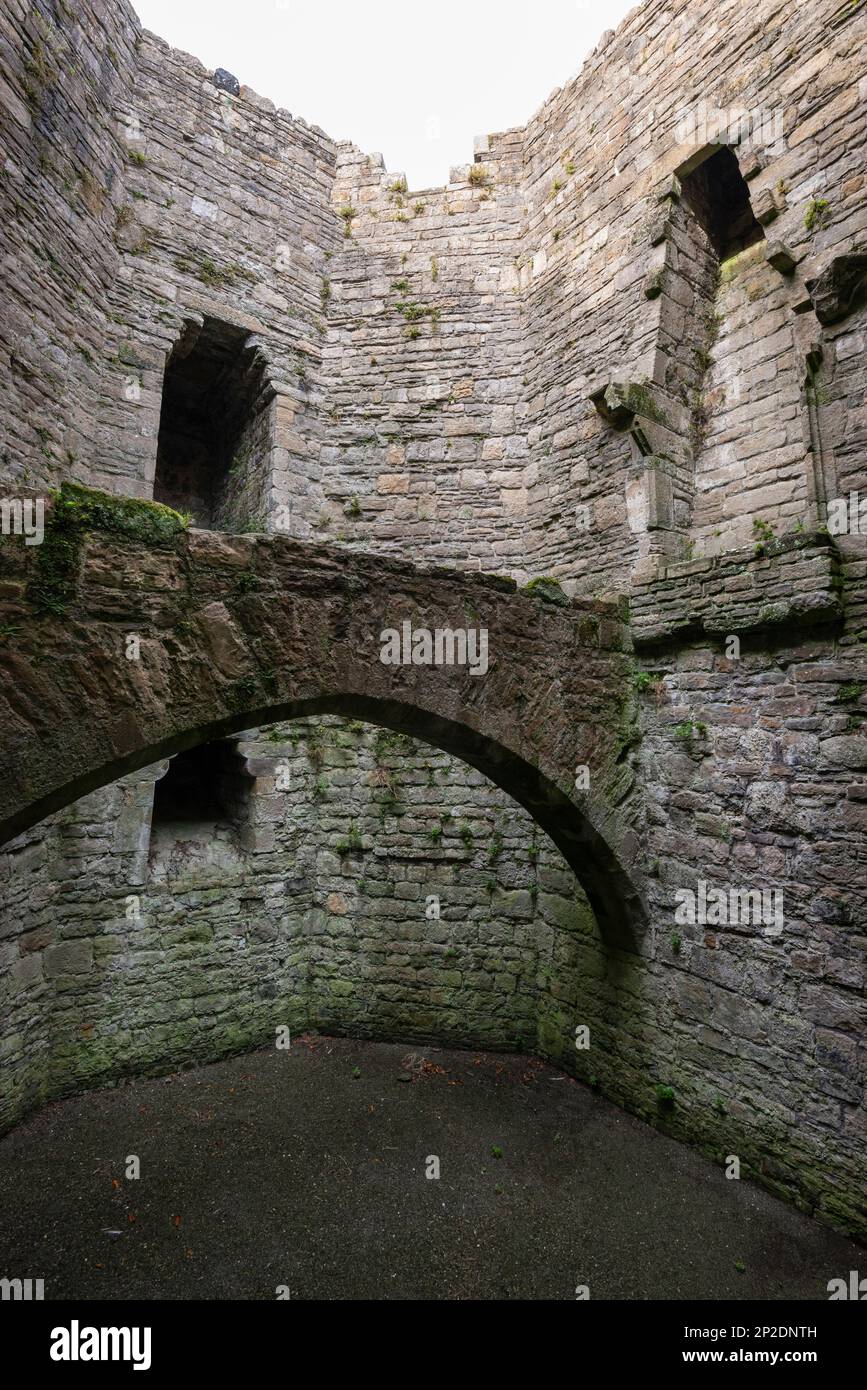 Détail des ruines du château de Beaumaris, Anglesey, pays de Galles du Nord. Banque D'Images