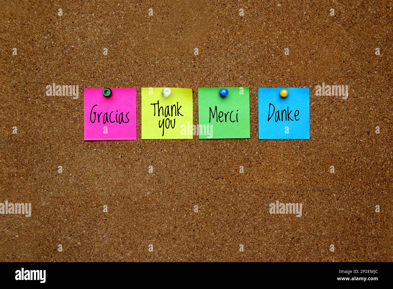 Notes multicolores avec message important, motivation et rappels sur le tableau en liège "Merci" dans différentes langues: Anglais, français, espagnol, allemand Banque D'Images