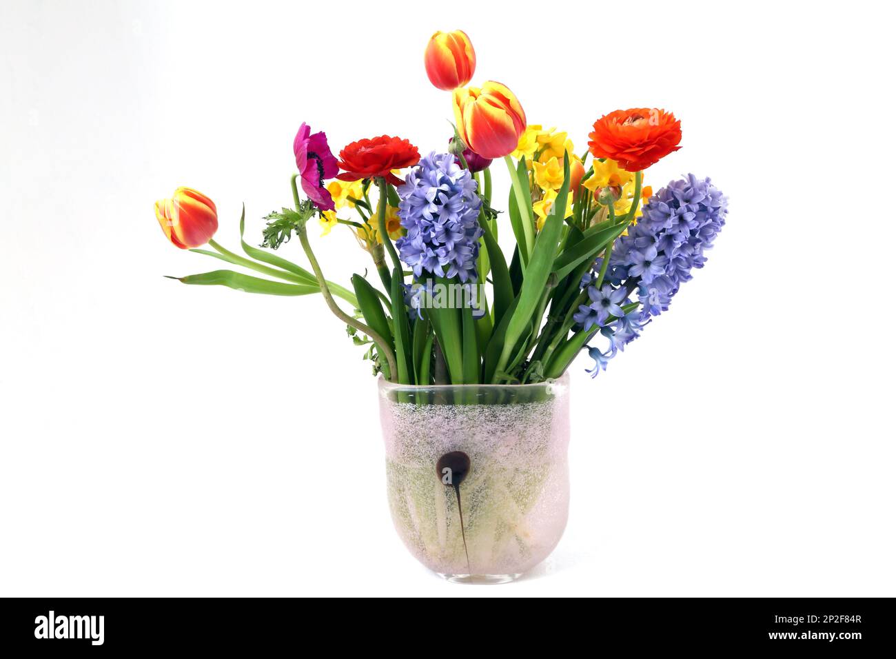Bouquet de fleurs printanières - jacinthes, jonchies, tulipes et roses Banque D'Images