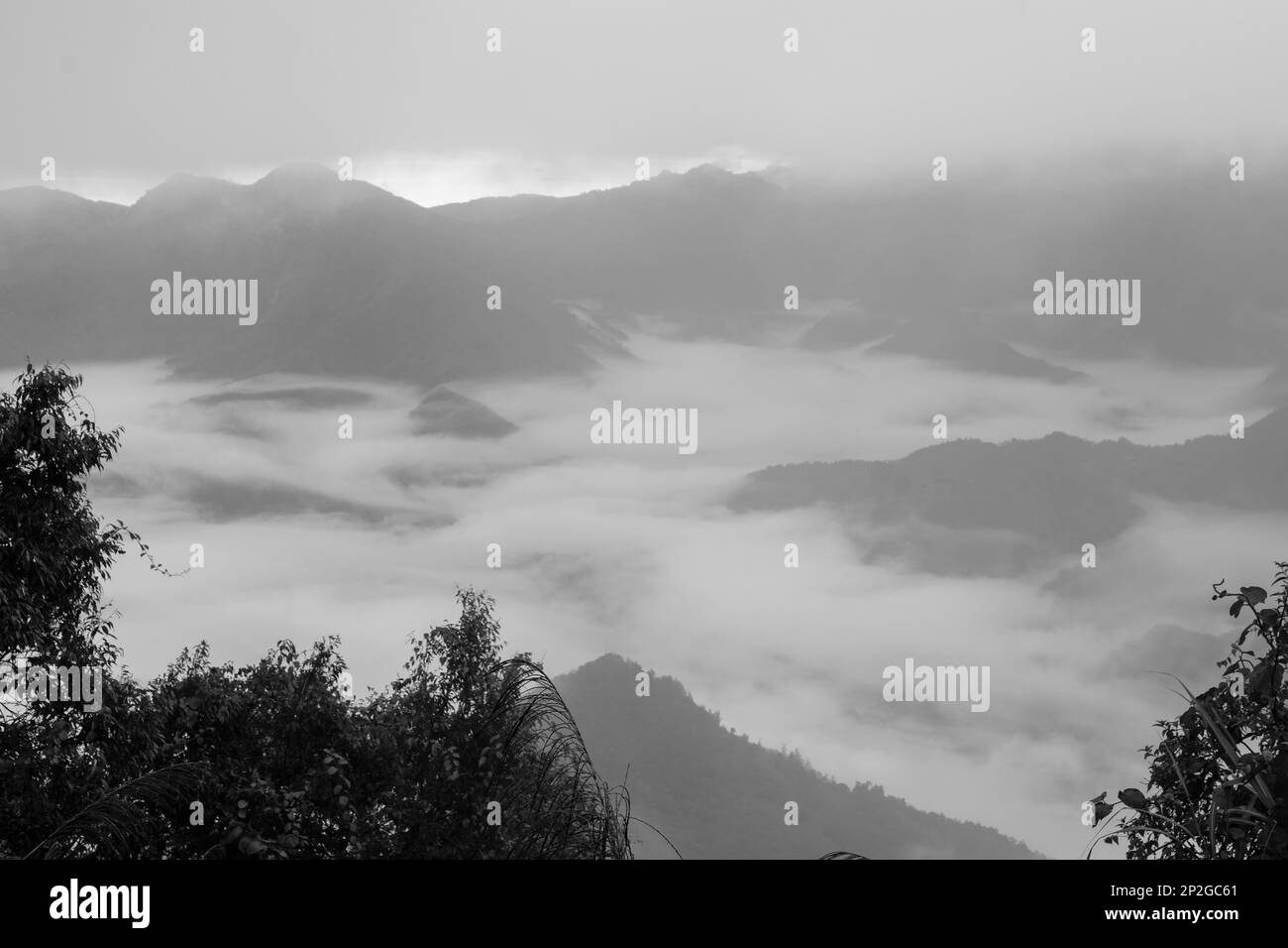 Mer de nuages et sommets brumeux des montagnes de l'Alishan à Taïwan Banque D'Images