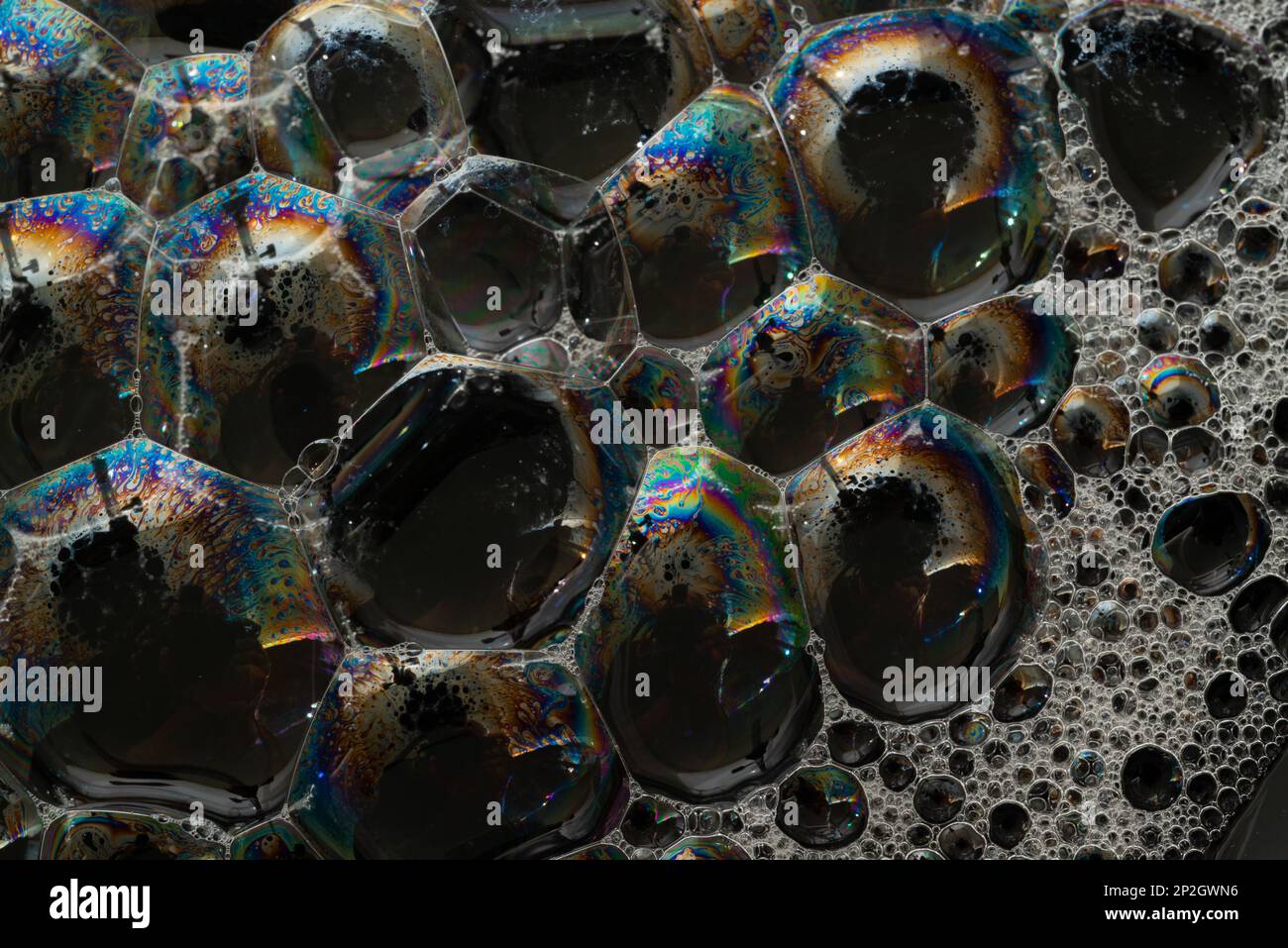Gros plan, photo macro d'une bulle de savon, arc-en-ciel multicolore avec couleurs jaune, violet, rose, bleu et vert sur fond noir. Banque D'Images
