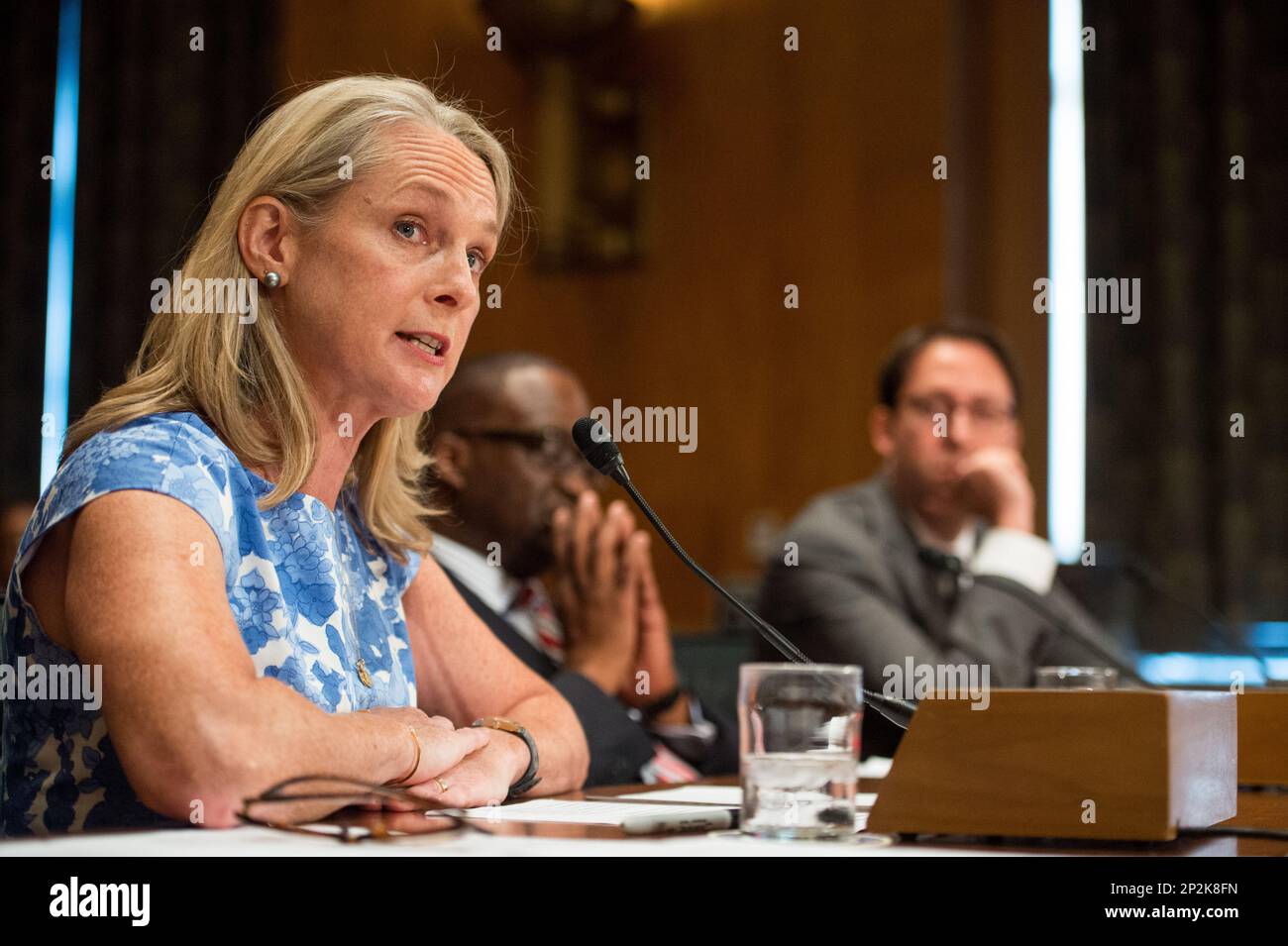 UNITED STATES - AUGUST 4: Piper Kerman, author of "Orange is the New Black: My Year in a Women's Prison" testifies during the Senate Homeland Security and Governmental Affairs Committee hearing on "Oversight of the Bureau of Prisons: First-Hand Accounts of Challenges Facing the Federal Prison System" on Tuesday, Aug. 4, 2015. (Photo By Bill Clark/CQ Roll Call) (CQ Roll Call via AP Images) Banque D'Images