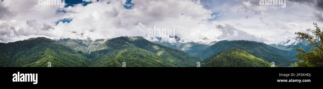 La forêt de montagne et nuages. Paysage panoramique d'été Banque D'Images