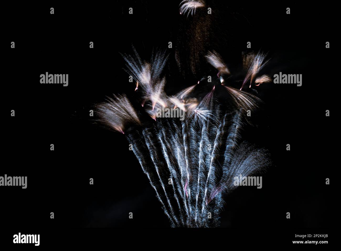 joyeuses fêtes du nouvel an la veille du nouvel an feux d'artifice colorés à la pyrotechnique dans le ciel noir foncé avec l'image de la fusée de couleur réflecte Banque D'Images