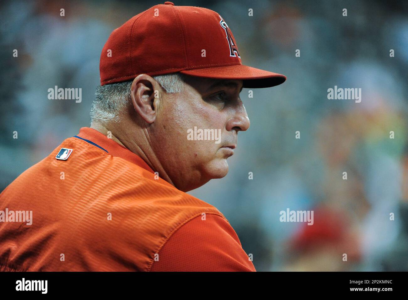 July 30th, 2015 - Los Angeles Angels of Anaheim Head Coach Mike Scioscia during the AL West matchup Houston Astros vs LA Angels at Minute Maid Park in Houston, Texas. (Icon Sportswire via AP Images) Banque D'Images