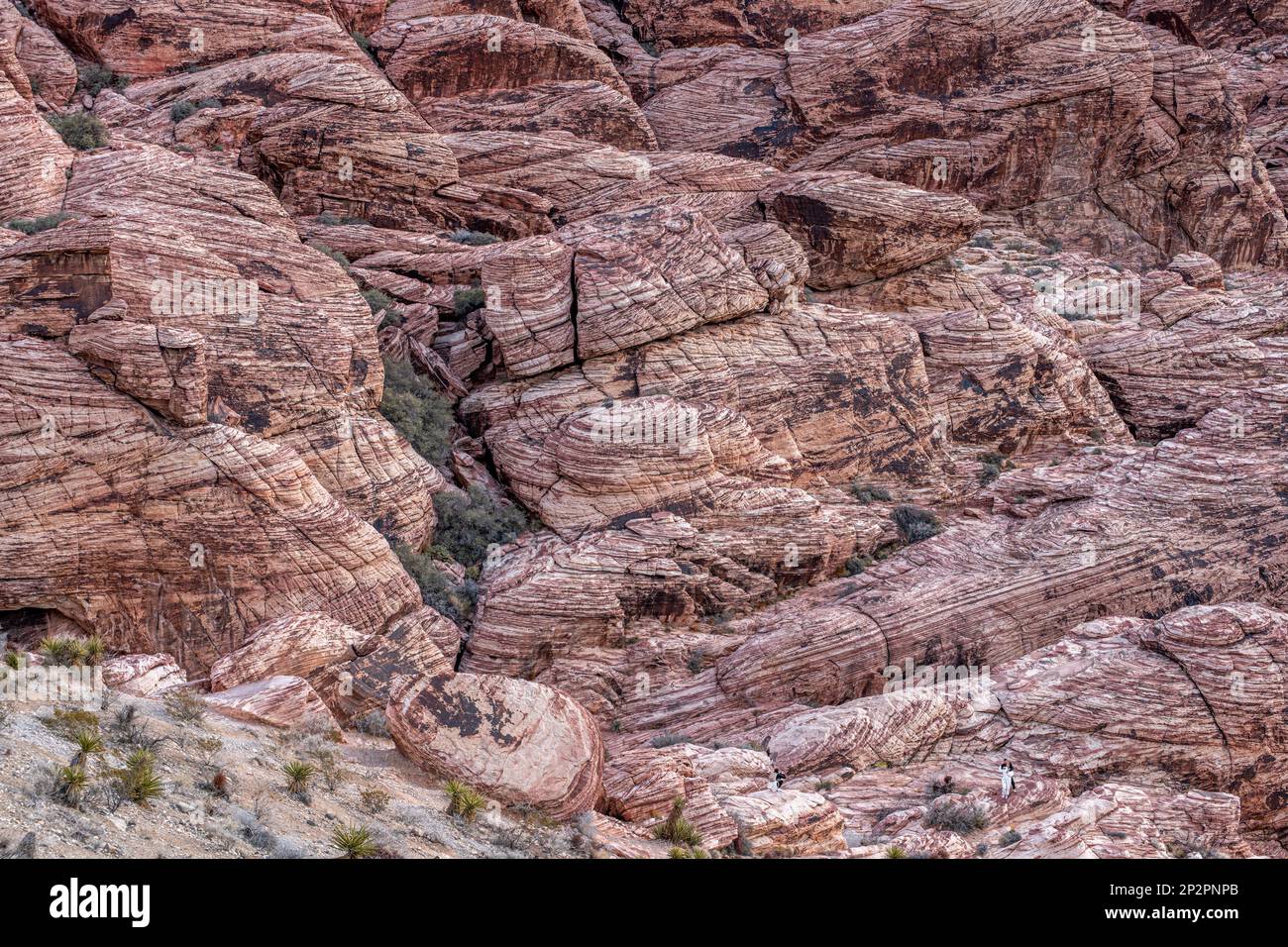 Une belle scène aride, sauvage et montagneuse dans le désert de Red Rock Canyon à Las Vegas, Nevada, où les randonneurs et les restaurationnistes vont à enj Banque D'Images