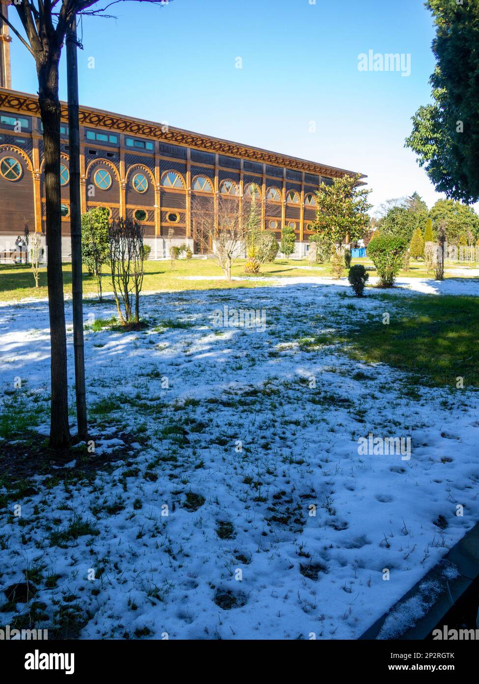 Neige sur un palmier et sur l'herbe verte. Hiver à Batumi. L'hiver dans le parc de la station de la ville du sud. Chute soudaine de neige. Contraste Banque D'Images