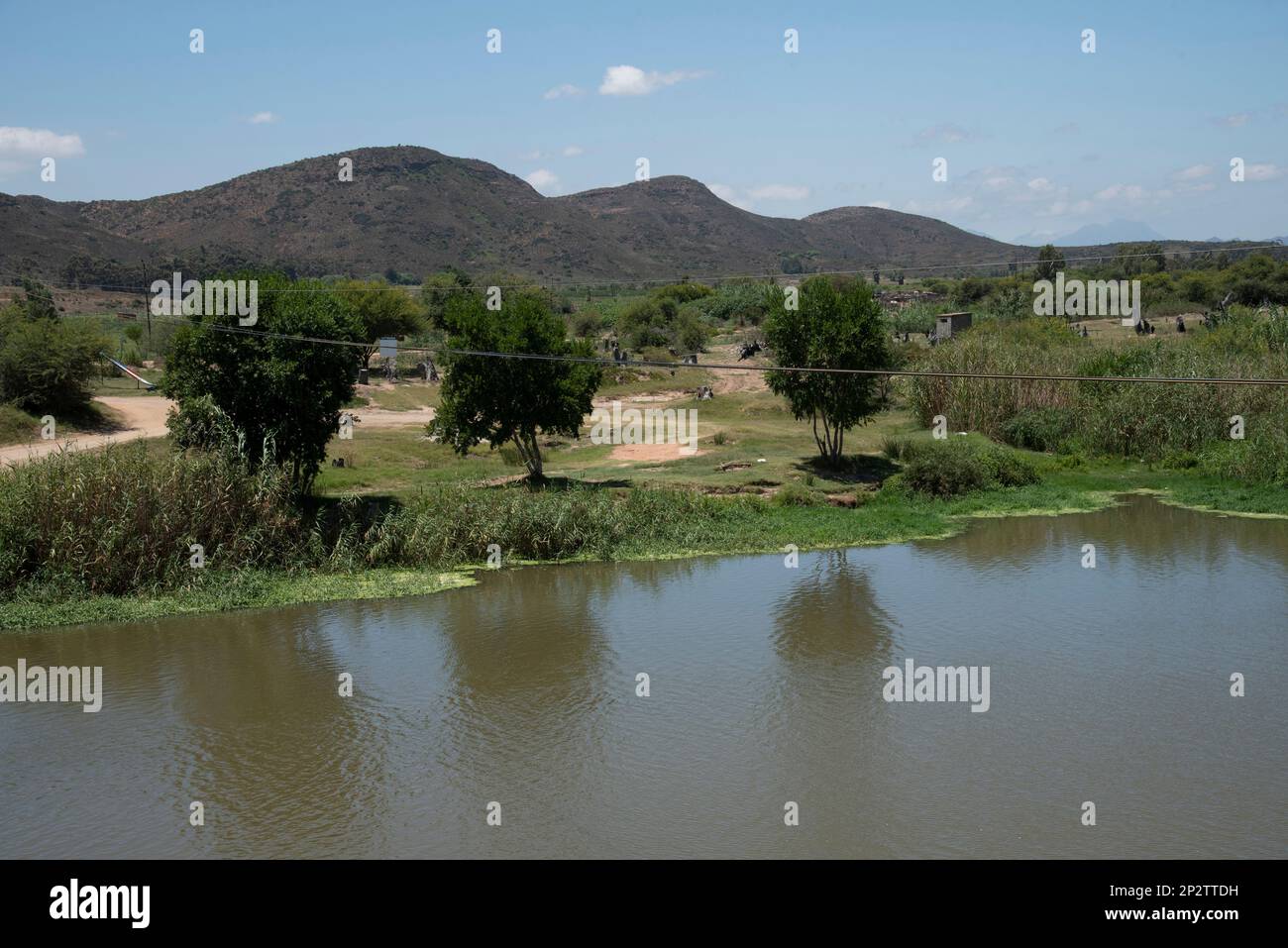 Robertson, Cap occidental, Afrique du Sud. 2023. Une étendue de la rivière Breede près de Roberson où les arbres de Gum bleu ont été enlevés. Banque D'Images