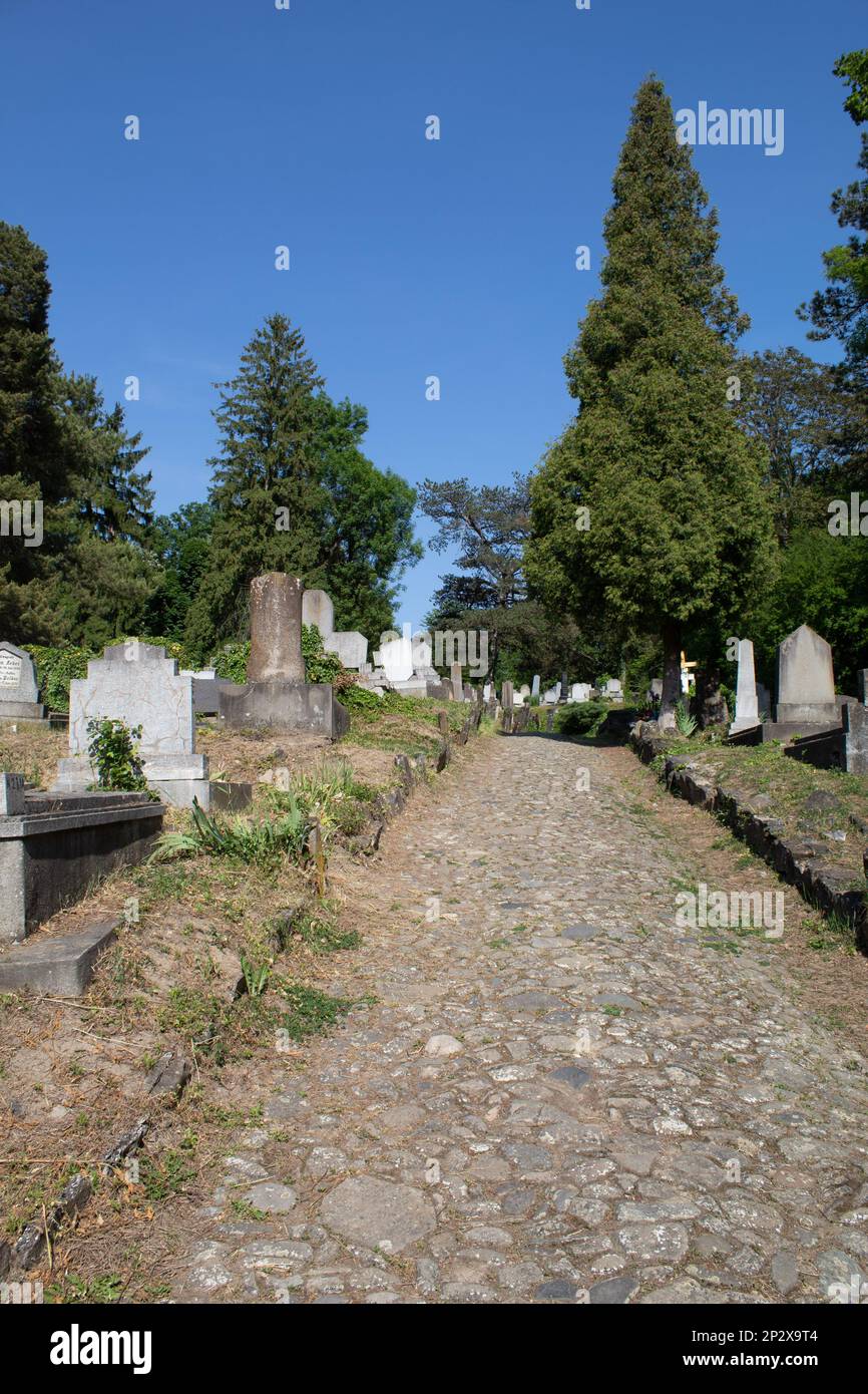 Le cimetière au sommet de la colline de Sighișoara, Roumanie Banque D'Images