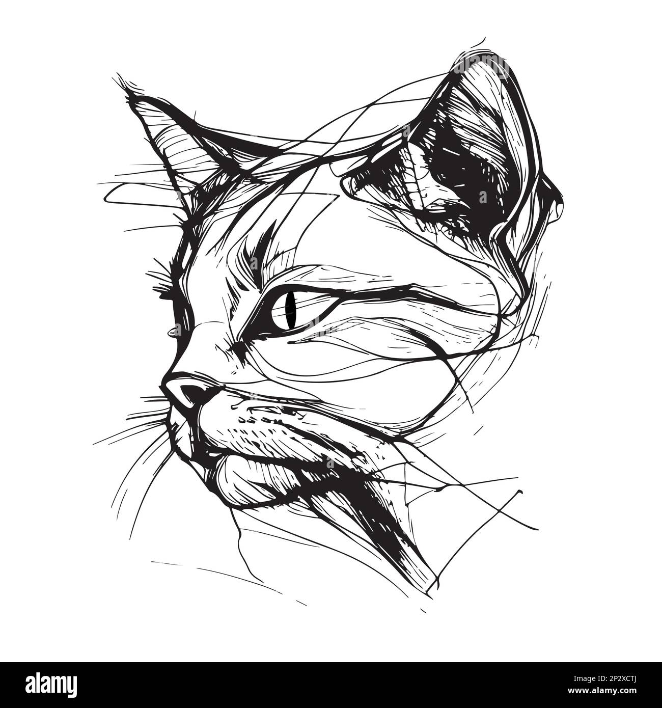 Illustration vectorielle dessinée à la main d'une tête de chat Illustration de Vecteur